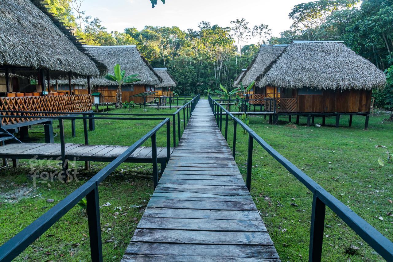 Green Forest Ecolodge Puerto Montufar Buitenkant foto