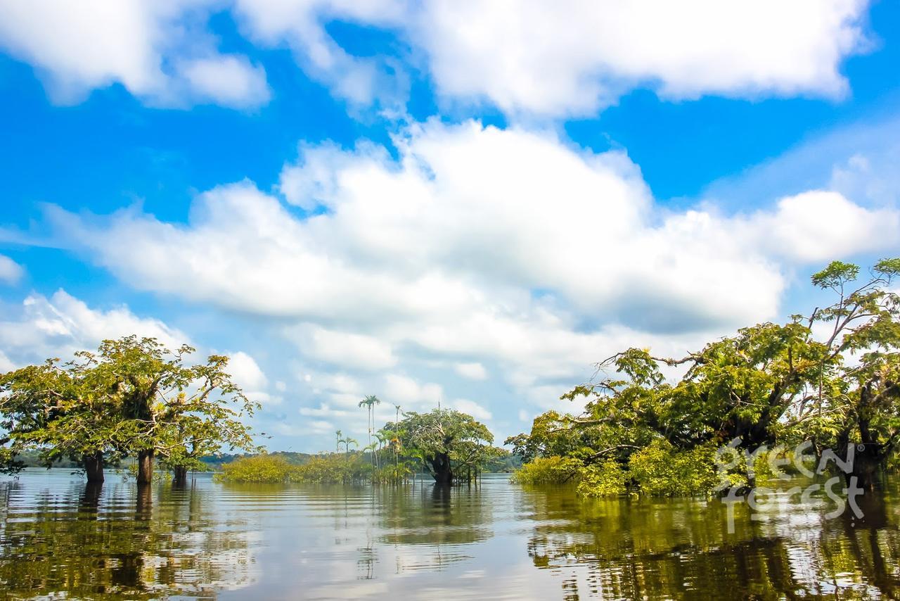 Green Forest Ecolodge Puerto Montufar Buitenkant foto
