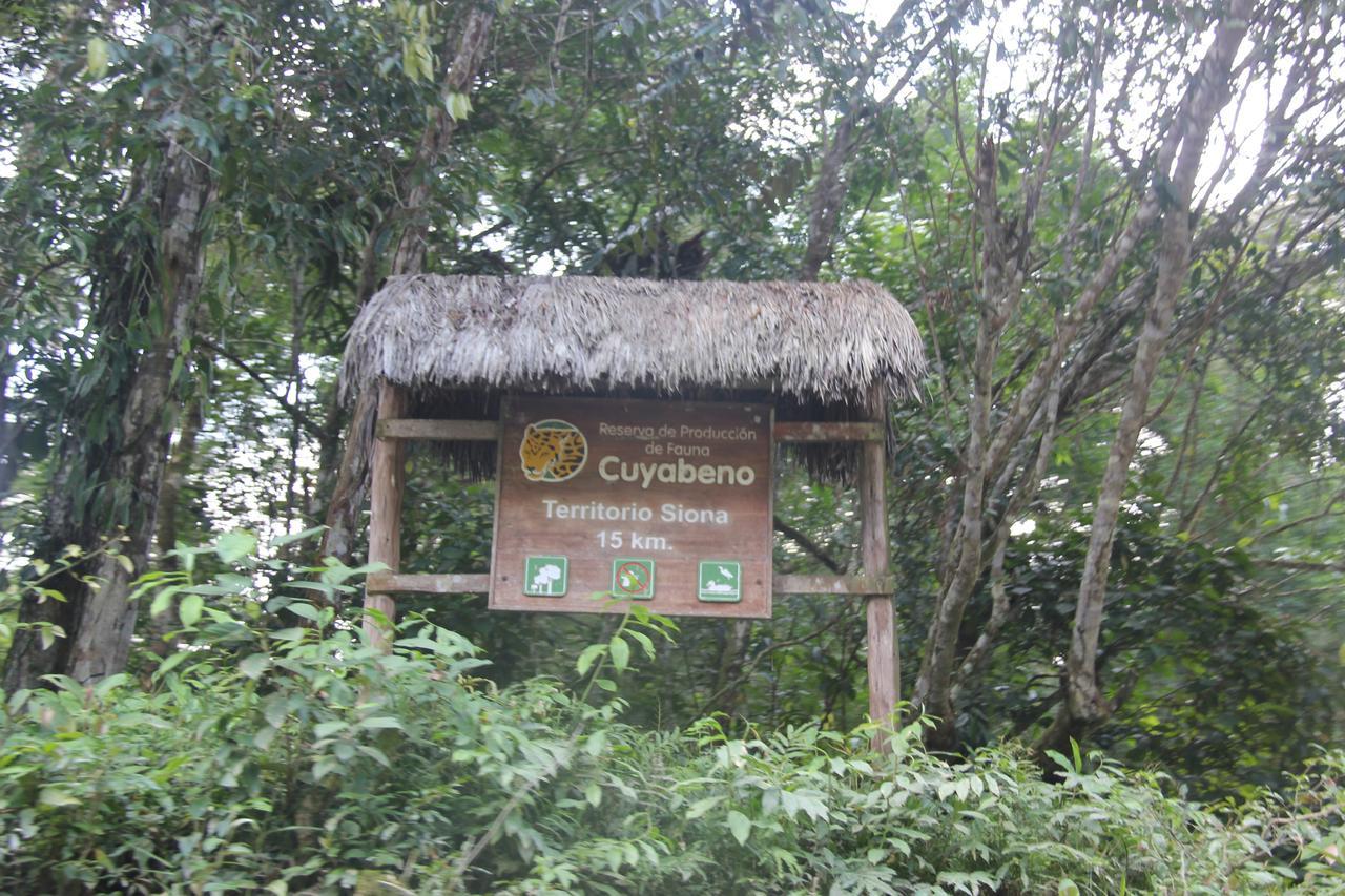Green Forest Ecolodge Puerto Montufar Buitenkant foto